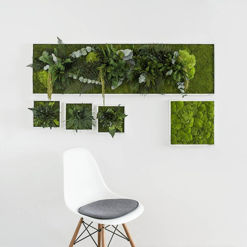 Tablou verde StyleGreen Plant Island 22x22