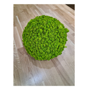 Decoratiune StyleGreen  Reindeer Moss Maygreen