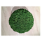 Decoratiune StyleGreen  Reindeer Moss Leafgreen