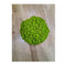 Decoratiune StyleGreen  Reindeer Moss Maygreen