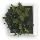 Tablou verde StyleGreen Plant Island 22x22