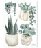 Sticker A3 (29,7x42cm) - PLANTS & JARS