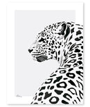 Poster (30x40cm) - SERENGETI : LEOPARD